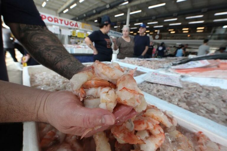 Com preços a partir de R$ 29,99, Mercado de Peixes de Santos promove Festival do Camarão