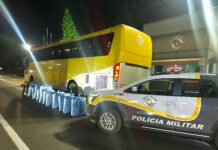 Polícia Rodoviária apreende 300 kg de folhas de coca em ônibus na SP-270