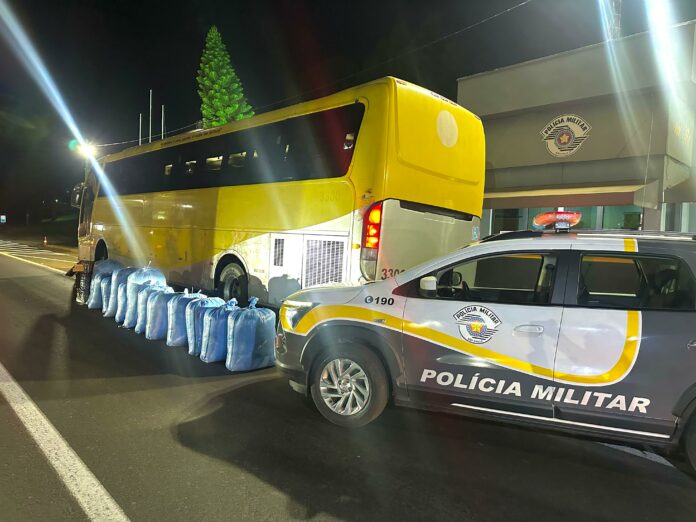 folha de coca
