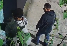 Foragido da Justiça que realizava série de furtos em bairros de Santos é preso; VÍDEO