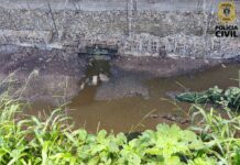 Responsável por empresa de ovos é presa por suspeita de poluição ambiental na Paraíba