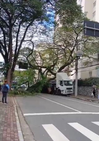 Caminhão atinge árvore e causa transtornos no trânsito da Avenida São João, em São José dos Campos