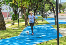 Parque das Três Ruas recebe programação junina para pets e arrecadação de ração nesta sexta-feira (26)
