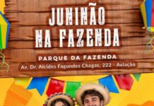 Juninão reúne música, dança e comidas típicas no Parque da Fazenda