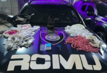 GCM apreende mais de 2,2 mil porções de drogas no bairro Sandra Maria, em Taubaté