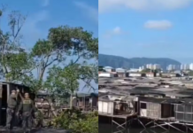 Ocupação irregular é destruída pela Polícia Ambiental em área de manguezal em Santos