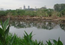 Nenhum trecho limpo: o tamanho do desafio para despoluir o Rio Tietê em São Paulo