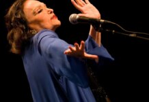 Os álbuns gravados por Bibi Ferreira