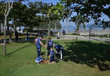 Com a meta de ampliar a arborização da cidade, Santos chega a marca de 4,1 mil mudas plantadas; meta é de 10 mil em quatro anos