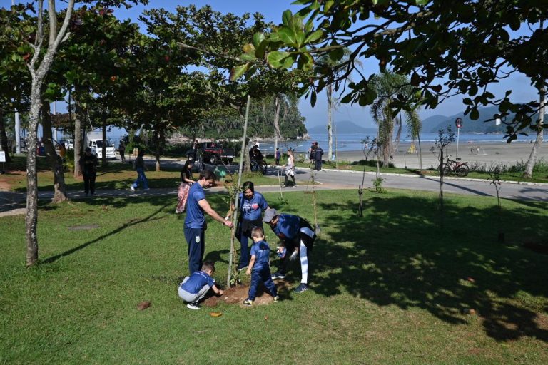 Com a meta de ampliar a arborização da cidade, Santos chega a marca de 4,1 mil mudas plantadas; meta é de 10 mil em quatro anos