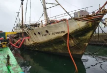 Navio histórico Professor Besnard volta a flutuar no Porto de Santos