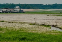 O que é El Niño? Qual podem ser seus efeitos no Brasil? Tire suas dúvidas sobre o fenômeno