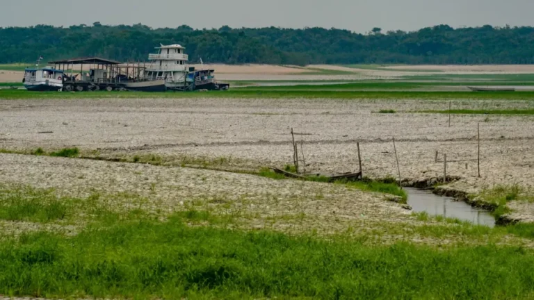 O que é El Niño? Qual podem ser seus efeitos no Brasil? Tire suas dúvidas sobre o fenômeno