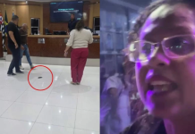 Ex-candidata a prefeita de Mongaguá arremessa rato morto em sessão da Câmara Municipal e é restringida de entrar no local