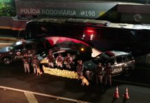Polícia apreende quase 100 quilos de Skunk em ônibus; droga é avaliada em R$ 1 milhão