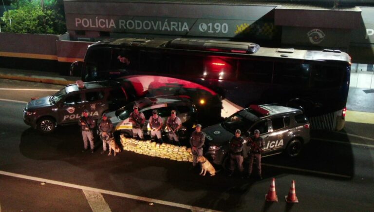 Polícia apreende quase 100 quilos de Skunk em ônibus; droga é avaliada em R$ 1 milhão