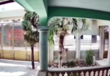 VÍDEO: Terremoto em Cuba fecha temporariamente atrações da Disney em Orlando