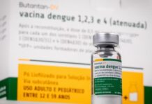 Vacina da dengue do Butantan suspensa: saiba o que fazer