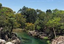 Bombeiros retomam buscas por homem desaparecido em cachoeira de Piquete