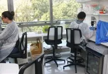 Projeto vai usar inteligência artificial para identificar áreas de risco de dengue
