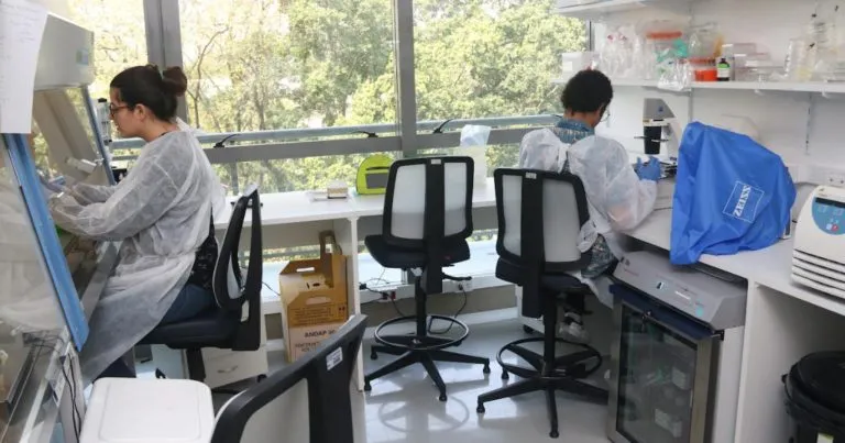 Projeto vai usar inteligência artificial para identificar áreas de risco de dengue
