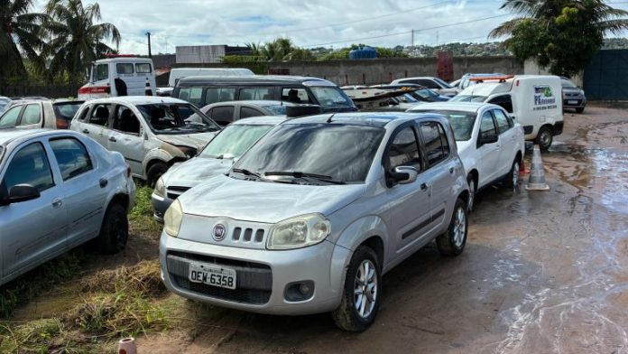 300d7135-cd85-4de6-b9ef-bcb30119bf48-1-768x432