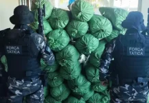 Denúncia leva polícia a depósito com mais de 400 kg de maconha no interior da Paraíba