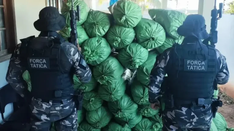 Denúncia leva polícia a depósito com mais de 400 kg de maconha no interior da Paraíba