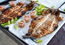 Solidariedade e gastronomia: cidades da região realizam Festa da Tainha; saiba mais