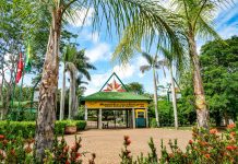 Férias de julho têm programação gratuita nos parques ecológicos