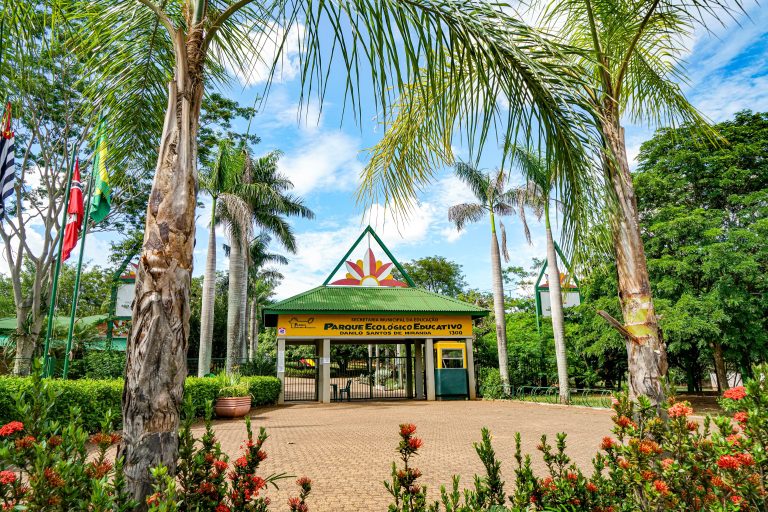 Férias de julho têm programação gratuita nos parques ecológicos