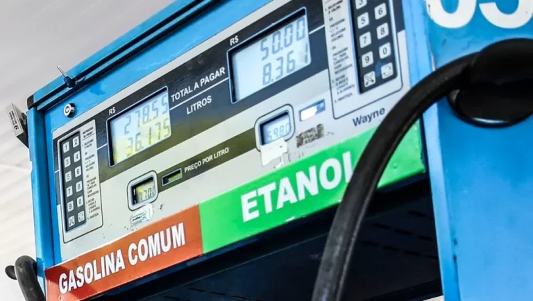 Avaliação para aumento do teor de etanol na gasolina não incluiu teste de durabilidade