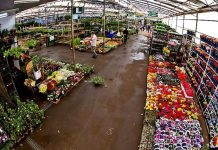 Ceasa Campinas recebe visita gratuita do Tour Campinas; veja como participar