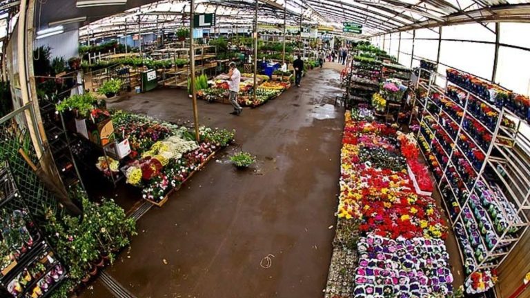 Ceasa Campinas recebe visita gratuita do Tour Campinas; veja como participar