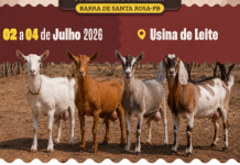 7º Encontro dos Caprinocultores do Curimataú segue até este sábado (4) na PB