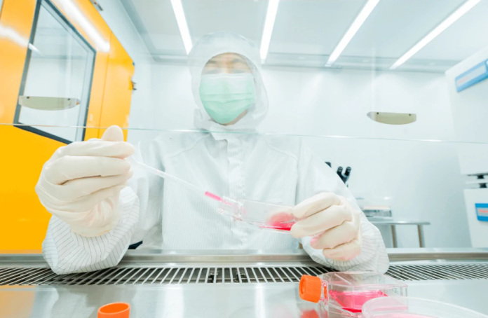 Captura de tela 2026-07-07 223105 Banco de Células do Rio de Janeiro (BCRJ) transforma células humanas em modelos de alta precisão, provando que a inovação biomédica e a bioética caminham juntas