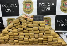 Polícias encontram depósito com quase 100 kg de maconha e prendem suspeito na região