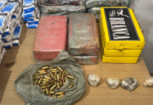 Polícia apreende quase 20 mil comprimidos de Artane, drogas e munições na Zona Sul de João Pessoa