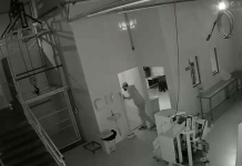 Homem invade fábrica pela segunda vez e acaba preso em flagrante em Campinas