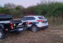 Corpo de jovem é encontrado em área de mata em Cajazeiras
