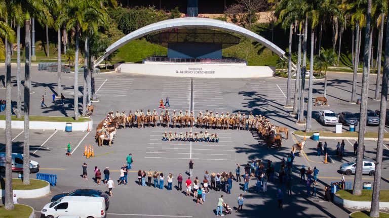Cavaleiros da Fé: Devotos cumprem percurso à Aparecida e superam a meta de R$ 1 milhão