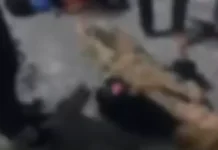 Motorista foge após atropelar duas mulheres em Guarujá; VÍDEO