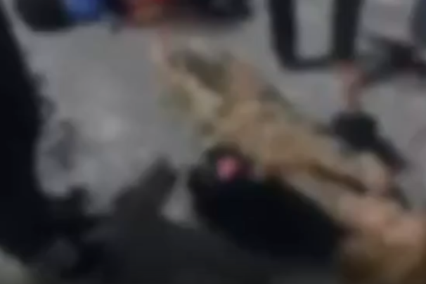 MULHER ATROPELADA