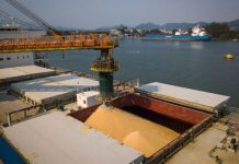 Porto de Santos faz acordo de estudos para transbordo off shore de soja para a China
