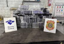 Receita Federal apreende 448 kg de cocaína em fiscalizações no Porto de Santos