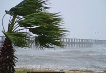 Estado de SP entra em alerta para ventania com rajadas acima de 110 km/h