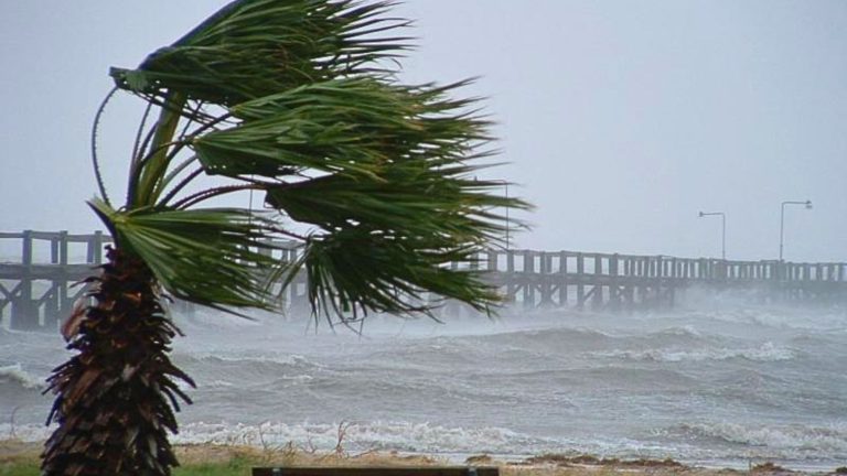 Estado de SP entra em alerta para ventania com rajadas acima de 110 km/h