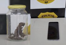 Funcionário de escola é preso por trocar drogas por favores sexuais com alunos em Cerquilho