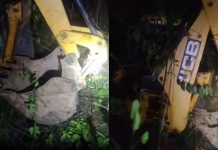 Retroescavadeira furtada de prefeitura é encontrada escondida em mata