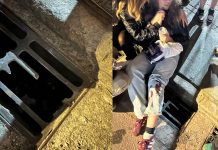Fã termina show de Harry Stiles em hospital; veja momentos do resgate